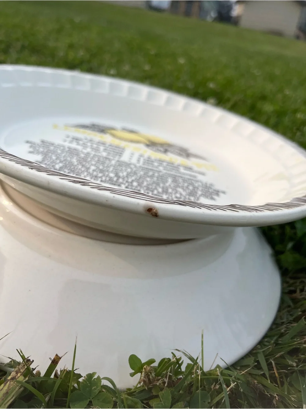 Lemon Meringue Pie Ceramic Baking Dish - White with Yellow Lemon Design